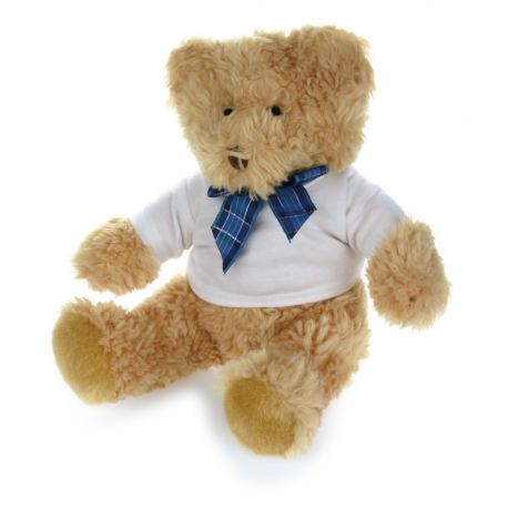 Orsetto peluche con T-shirt indossata personalizzata